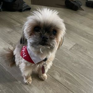 Meet your Posher, Sherri